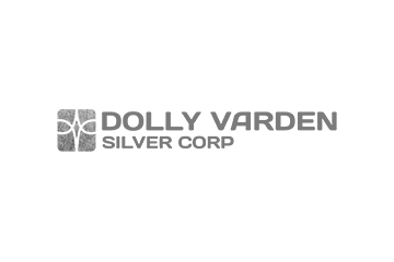 logo dolly